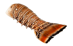 Cola de Langosta