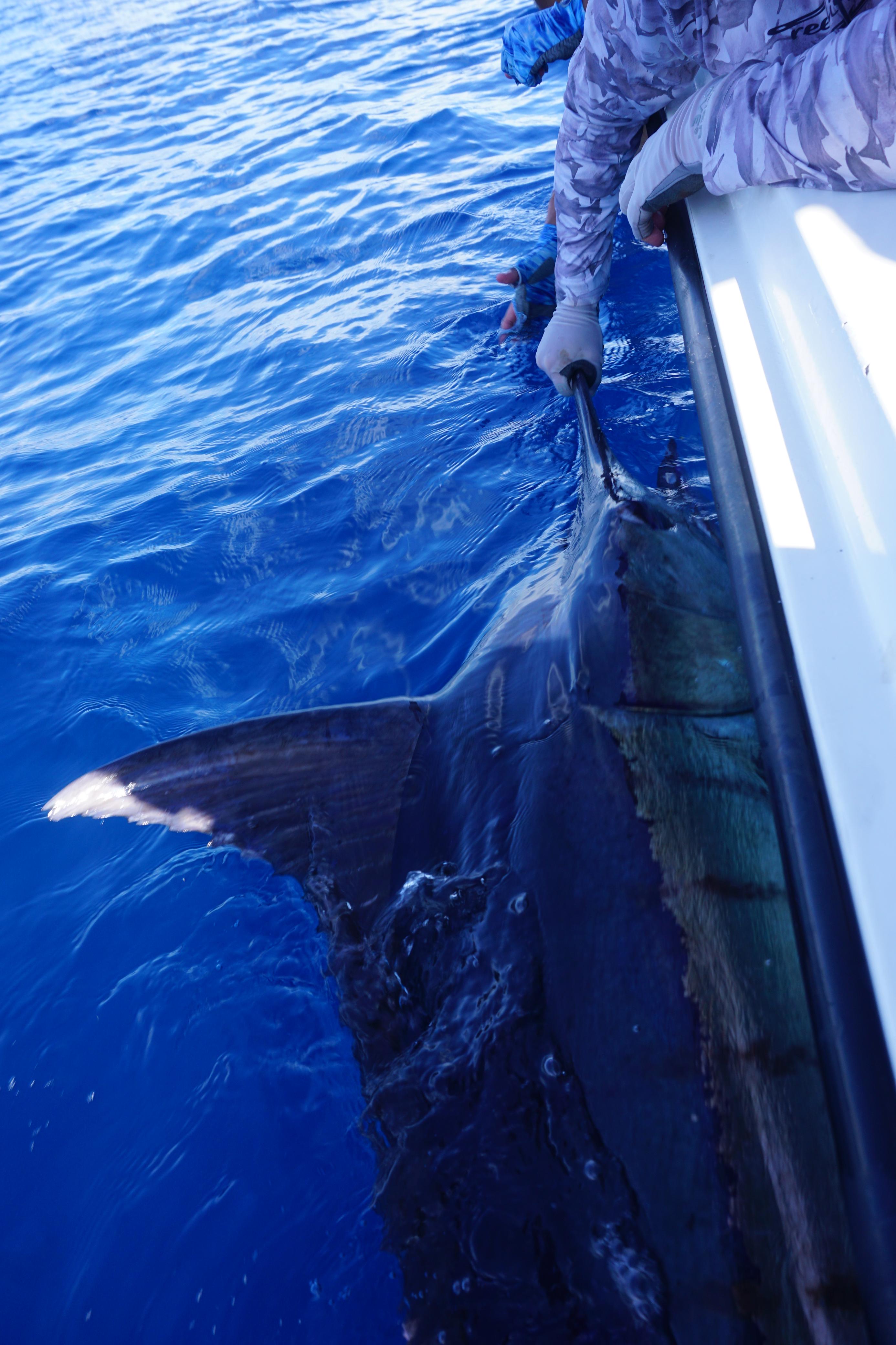Tour de Pesca
