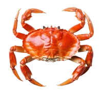Muelas de Cangrejo